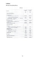 Prakses atskaite 'Finanšu  vadības prakses atskaite', 56.