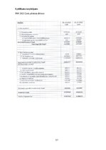 Prakses atskaite 'Finanšu  vadības prakses atskaite', 57.