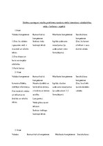 Konspekts 'Valoddarbības veida saturs 1.-4. klasē', 3.