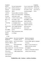 Konspekts 'Valoddarbības veida saturs 1.-4. klasē', 4.