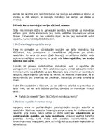 Eseja 'Darba motivāciju teorijas', 2.