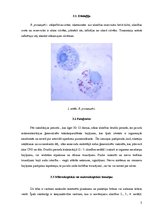 Konspekts 'Riketsiozes', 5.