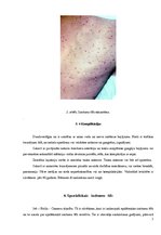 Konspekts 'Riketsiozes', 7.