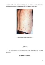 Konspekts 'Riketsiozes', 8.