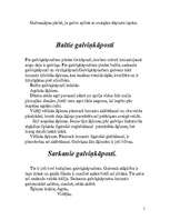 Referāts 'Kāposti', 5.