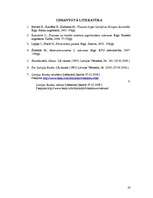 Referāts 'Latvijas Bankas darbības izvērtējoša analīze', 19.