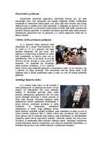 Referāts 'Iespējamās tankkuģu avārijas un to seku novēršana', 3.