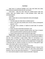 Referāts 'Japāņu mīklas un to pielietojums pedagoģijā', 3.