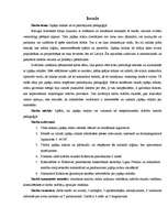 Referāts 'Japāņu mīklas un to pielietojums pedagoģijā', 5.