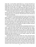 Referāts 'Japāņu mīklas un to pielietojums pedagoģijā', 17.