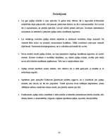 Referāts 'Japāņu mīklas un to pielietojums pedagoģijā', 24.