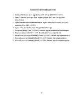 Referāts 'Japāņu mīklas un to pielietojums pedagoģijā', 25.