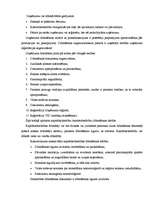 Referāts 'Uzņēmuma dzīves cikls', 5.