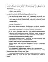 Referāts 'Uzņēmuma dzīves cikls', 6.