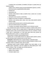 Referāts 'Uzņēmuma dzīves cikls', 7.