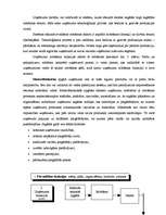 Referāts 'Uzņēmuma dzīves cikls', 13.