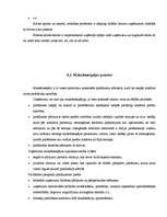 Referāts 'Uzņēmuma dzīves cikls', 23.