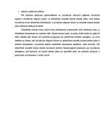 Referāts 'Uzņēmuma dzīves cikls', 29.