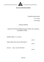 Diplomdarbs 'Sakrālās skulptūras pirmsrestaurācijas izpēte: tēla atribūcija un materiālu izpē', 1.