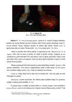 Diplomdarbs 'Sakrālās skulptūras pirmsrestaurācijas izpēte: tēla atribūcija un materiālu izpē', 23.