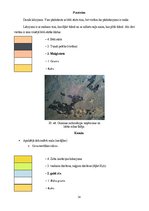Diplomdarbs 'Sakrālās skulptūras pirmsrestaurācijas izpēte: tēla atribūcija un materiālu izpē', 34.