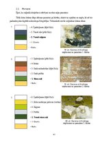 Diplomdarbs 'Sakrālās skulptūras pirmsrestaurācijas izpēte: tēla atribūcija un materiālu izpē', 41.