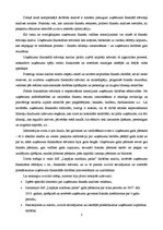 Referāts 'AS "Liepājas autobusu parks" darbības analīze', 3.