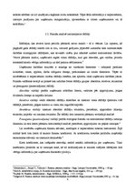 Referāts 'AS "Liepājas autobusu parks" darbības analīze', 9.