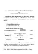 Referāts 'AS "Liepājas autobusu parks" darbības analīze', 20.