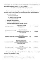 Referāts 'AS "Liepājas autobusu parks" darbības analīze', 26.