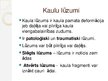 Prezentācija 'Kaulu lūzumi', 2.
