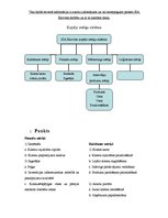 Konspekts 'Loģistika uzņēmumā SIA "Eirovīns"', 3.