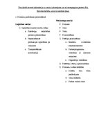 Konspekts 'Loģistika uzņēmumā SIA "Eirovīns"', 4.