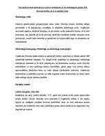 Konspekts 'Loģistika uzņēmumā SIA "Eirovīns"', 5.