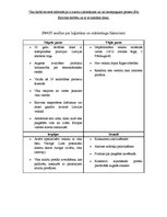 Konspekts 'Loģistika uzņēmumā SIA "Eirovīns"', 9.