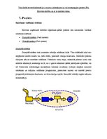 Konspekts 'Loģistika uzņēmumā SIA "Eirovīns"', 17.