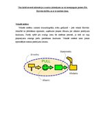 Konspekts 'Loģistika uzņēmumā SIA "Eirovīns"', 18.
