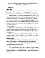 Konspekts 'Loģistika uzņēmumā SIA "Eirovīns"', 19.