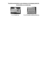 Konspekts 'Loģistika uzņēmumā SIA "Eirovīns"', 24.