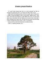 Referāts 'Āraišu ezerpils', 1.