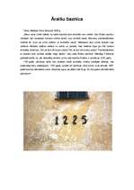 Referāts 'Āraišu ezerpils', 5.