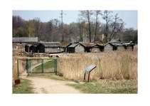 Referāts 'Āraišu ezerpils', 10.