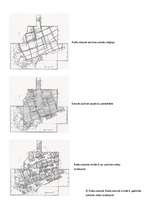 Referāts 'Āraišu ezerpils', 20.