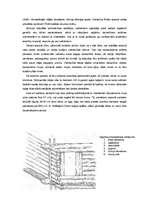 Referāts 'Āraišu ezerpils', 22.