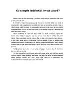 Referāts 'Āraišu ezerpils', 25.