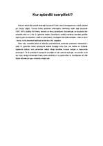 Referāts 'Āraišu ezerpils', 29.