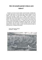 Referāts 'Āraišu ezerpils', 30.