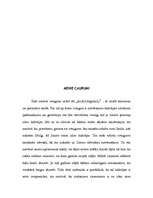 Referāts 'Melnie caurumi', 4.