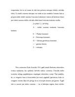 Referāts 'Melnie caurumi', 5.