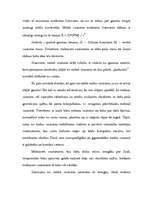 Referāts 'Melnie caurumi', 6.